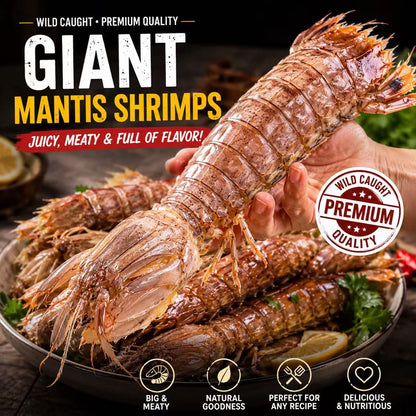 Giant Mantis Shrimp – Wild Caught Premium Seafood-CU