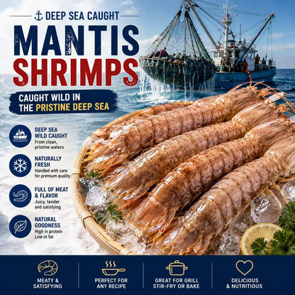 Giant Mantis Shrimp – Wild Caught Premium Seafood-CU