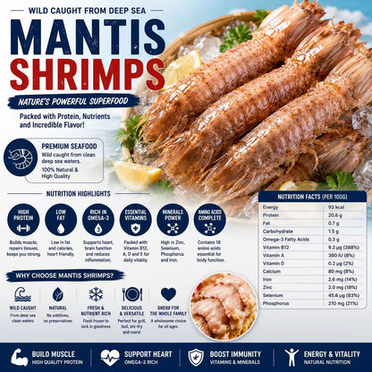 Giant Mantis Shrimp – Wild Caught Premium Seafood-CU
