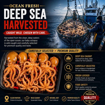 Premium Spicy Octopus – Tender, Bold & Ready-to-Eat Seafood Snack-CU